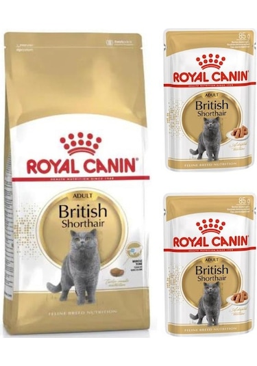 Royal Canin British Shorthair Kedi Maması 2 KG + 2 Adet Pouch