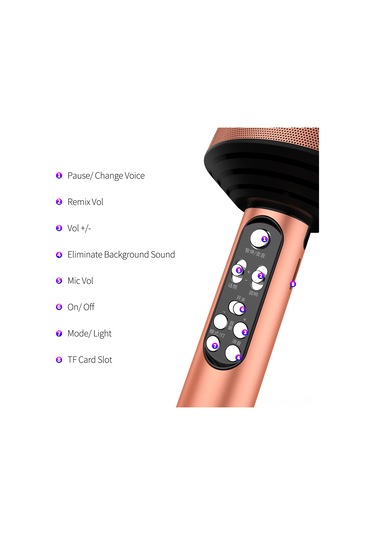 Gajeena Q008 Bluetooth Mikrofon Hoparlör 2'li 1, Ses Değiştirme Ve Arka Plan Sesini Kaldırma, Tf Kart Desteği Kart Yok , Usb Şarjlı, Renkli Led Işıklı