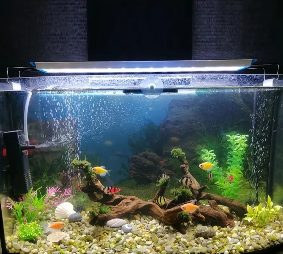 Ogonek Akvaryum İçin Led Beyaz Lamba 280474481