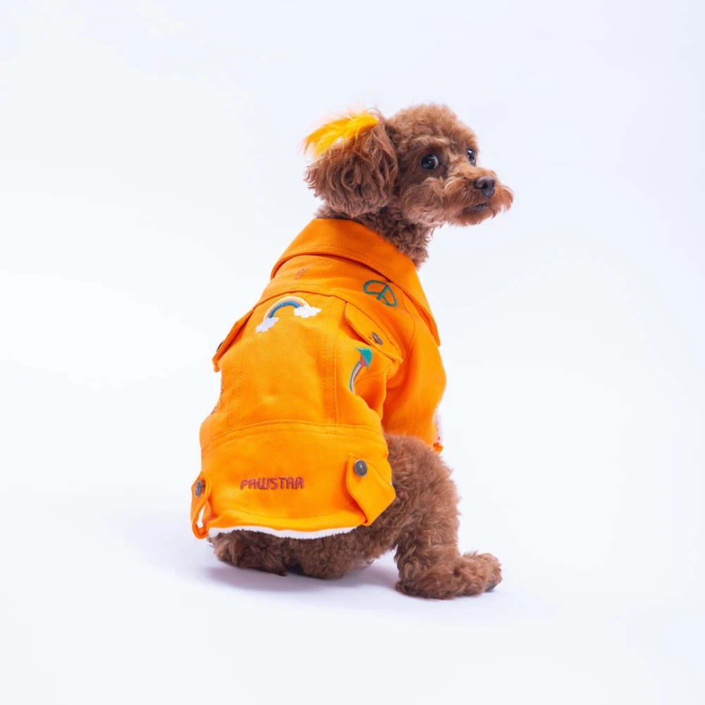 Turuncu Cancún Kedi Köpek Pop Ceket