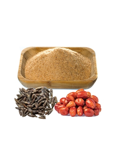 Organik Bitkim Toz İğde Çekirdeği 1 KG