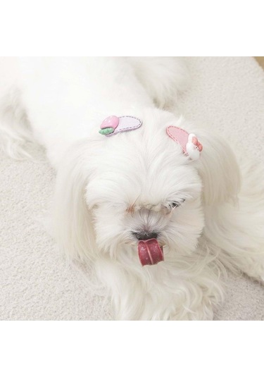 M-pets Glam Figürlü Kedi Ve Köpekler İçin Aksesuar Toka Pembe Mor