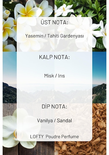 Lofty Pudra Lavanta Amber Uçucu Yağ Buhurdanlık Esansı Oda Kokusu 10 ML