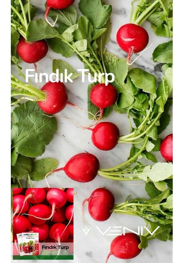 1000 Adet Fındık Turp Tohumu- Paket