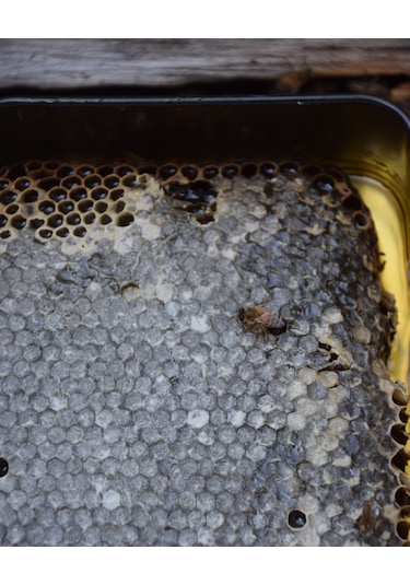 Şehri Şemdinli Petek Bal 1 KG