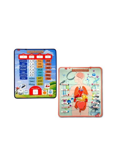 2 Set - 69 Parça Tox Iç Organlar ve Takvimi Öğreniyorum Keçe Cırt