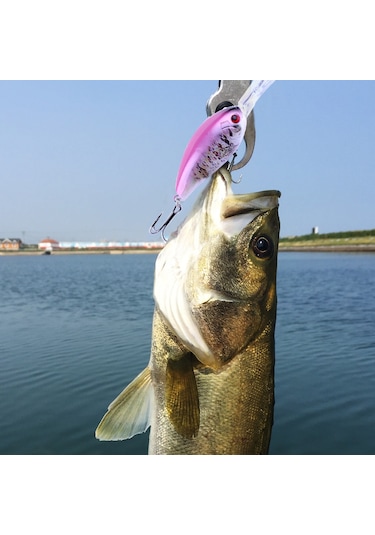 Hengjıa 4 12 Cm Gerçekçi Renkli Kaya Plastik Sert Yemler Balıkçılık Lures Olta Takımı Yemler, Rastgele Renk Teslimat