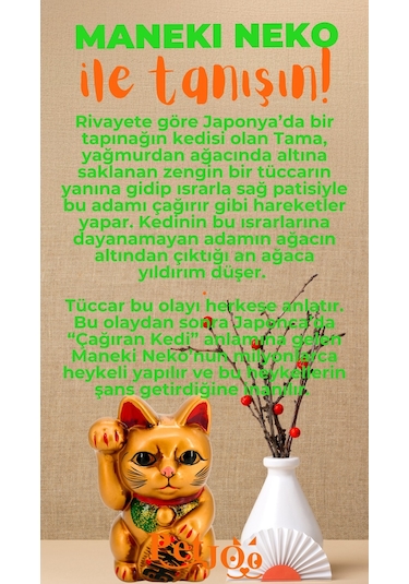 Petjoo 4.Maneki Neko Turuncu-Yeşil Qr'lı Kedi Künyesi