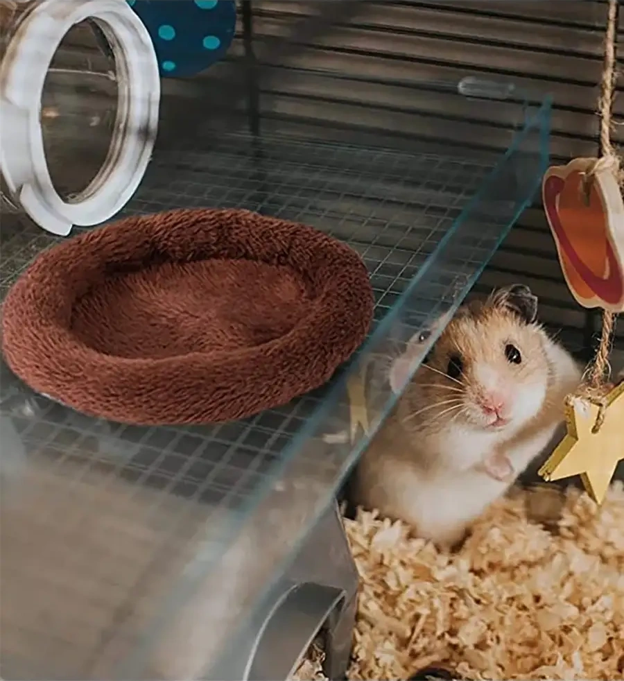 Petsroom Isıtmalı Yatak, Hamsterler İçin 22x15 Cm 18170616
