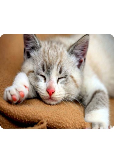 Samdoo Kedi Desenli Kaymazsız Mouse Pad - 180x220mm, 9 Farklı Kedi Resmi, İş Ve Oyun İçin, Yumuşak Dokuma, Pc/dizüstü/macbook Uyumlu Diğer