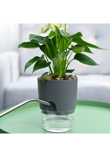 Şeffaf Plastik Çift Katmanlı Su Depolama Otomatik Su Emici Saksı, Boyut: A709 Kalibre 23.5cm Gri Şeffaf Havza