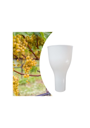 Homyl Üzüm Daldırma Fincanı 8.66x4.72 "aksesuarlar Meyve