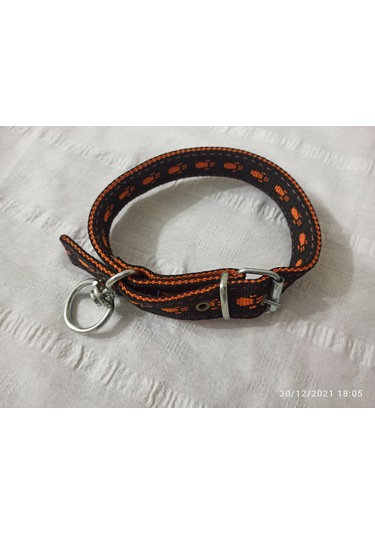 Kozaklı Köpek Tasması Çok Renkli 55-60 CM 3 CM Çok Renkli