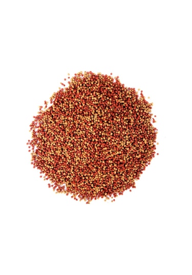 Gold Mix Granulat 1000ml Kutu Alae Japon Balık Yemi