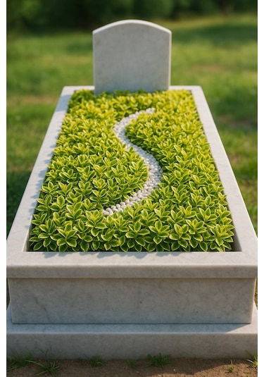 Mezar - Kabir Sarı Bitki Seti - 20 Adet Gold Taflan