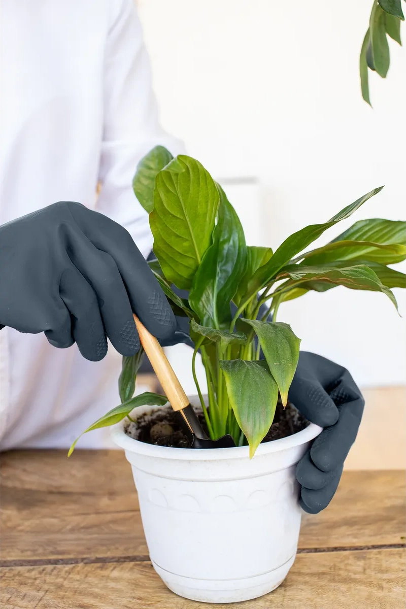 Mainstream Home Dayanıklı Temizlik Lastiği Eldivenleri 325194887