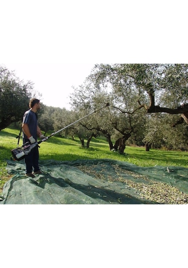 Cifarelli SC 800 Zeytin Ağaç Silkeleme Hasat Makinesi