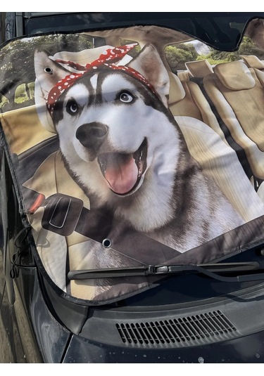 D.kovalev 140 X 70 Cm Ön Cam Güneşliği 249485092