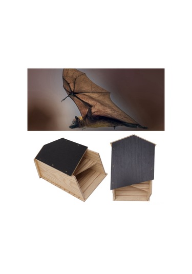 Xindoker Çift Odalı Ahşap Yarasa Barınması - Hava Dayanıklı, Doğal Ekosisteme Destek, Bahçe/patio İçin Kolay Kurulum