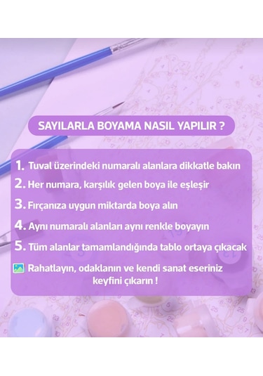 Denic Sayılarla Boyama Seti 40x50 Cm (Çıtalı) Fırça Boya Dahil Numaralı Tuval Beyaz ve Siyah At