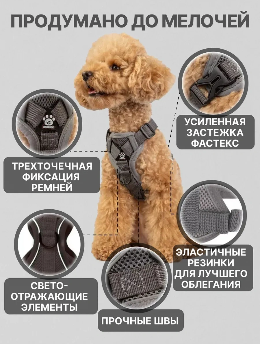 Tori Küçük Ve Orta Irklar İçin Tasmalı Köpek Kayışı Ve Kedi Şeridi 417711600