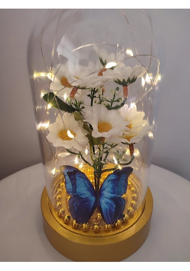 Işıklı Papatya Buket Fanus