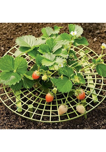 Yifomall "pratik Çilek Desteği - Topraktan Koruma, Kolay Kurulum, Dayanıklı Pe Malzeme"