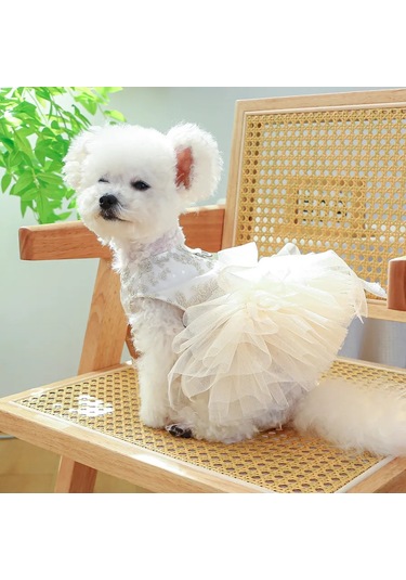 Best Golden Monkey Köpek Elbisesi "nazik" 423646011