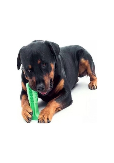 Diş Fırçası 15 CM Büyük Boy Isırma Aparatı Köpek Oyuncağı Çok Renkli