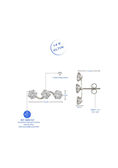 Moom Mücevherat Kadın Tek Taş Sarmaşık Küpe 14 Ayar Altın N11.15615