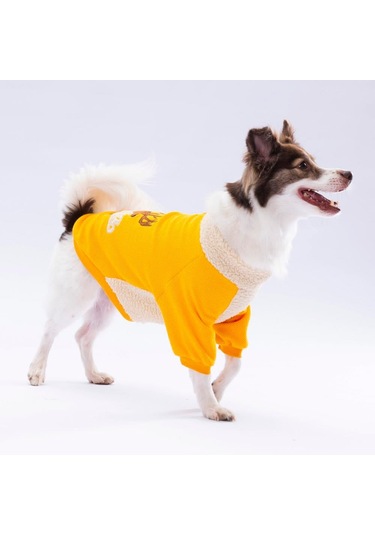 Pawstar Sarı Alaska Esnek, Küçük Irk Triko Köpek Trikosu