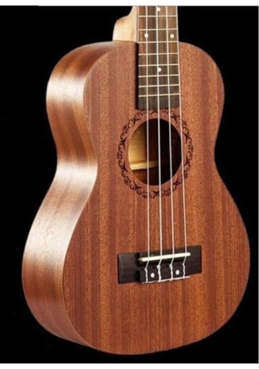 Puka Pk-100 Maun Ağacı Soprano Ukulele-Kılıf