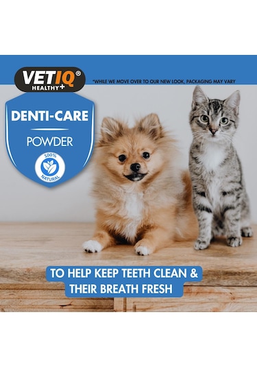 Vet Iq Kedi ve Köpek İçin Diş Bakım Tozu 60 G