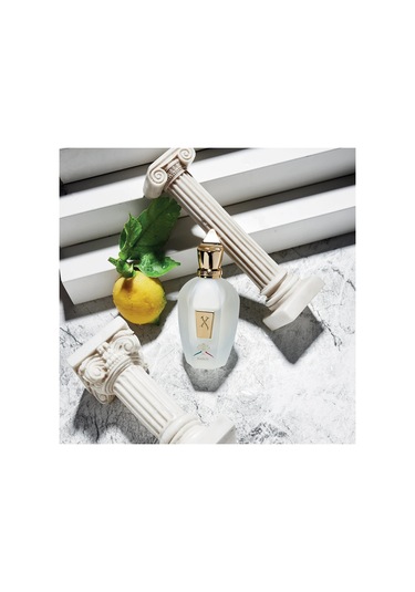 Naxos Edp 100ml Diğer