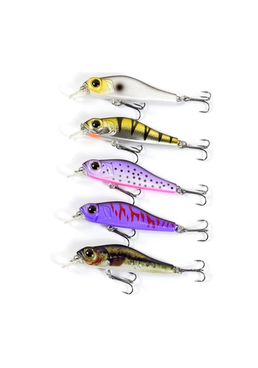 Reedark 68mm Plastik Yem Balık Oltası 6.9g - 5 Renk Seçeneği Cc17 Modeli