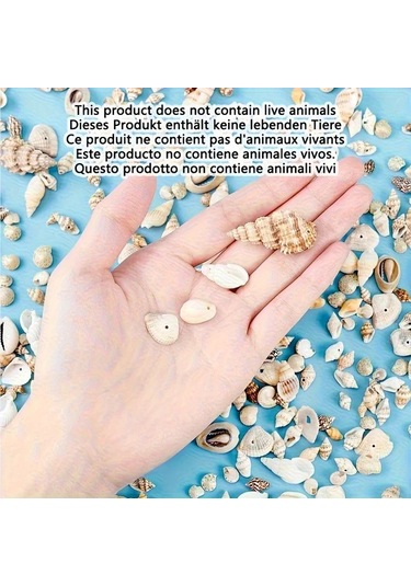 Willowhaven 500g Renkli Mini Kabuk Kum Karışımı Dıy El Sanatları Akvaryum Dekorasyon