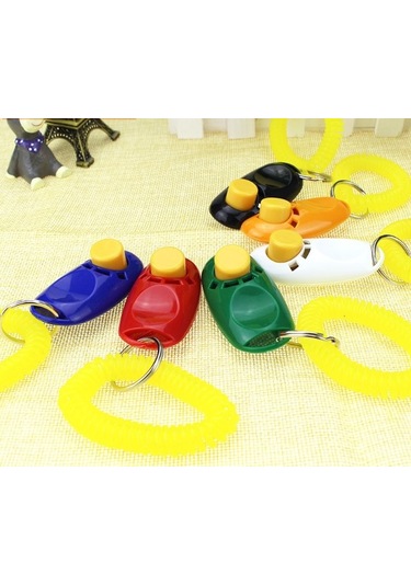 River World Köpekler İçin Eğitim