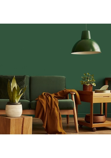 Filli Boya Momento Silan Kaktüs95 Yıkanabilir İç Cephe Boya 2.5 L