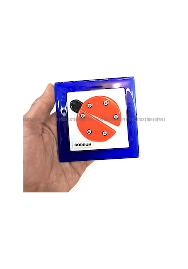 Bodrum Uğur Böceği Nazarlık Banyo Balkon Tuvalet Gider Kapağı Çok Renkli