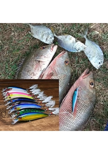 Valkyrie 10 Adet 9cm 7.2gr Tüylü Minnow Rapala Suni Spin Olta Balık Yemi