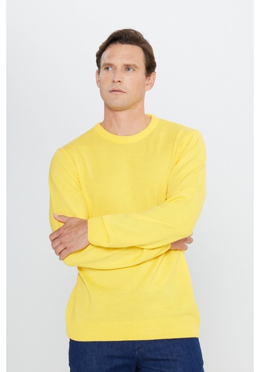 AC&Co / Altınyıldız Classics Erkek Sarı Standart Fit Normal Kesim Bisiklet Yaka Triko Sarı