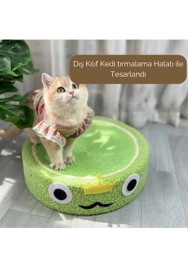 Raikou Kedi Tırmalama Alanı Kedi Oyun Alanı