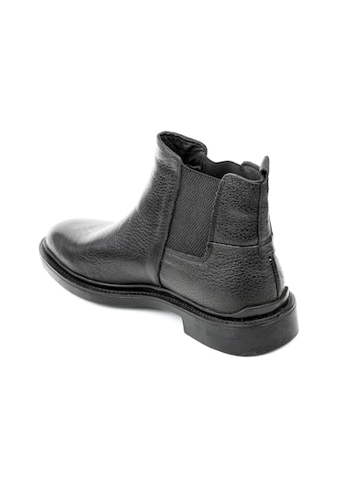 Dexter Dx396105-1 Renkli