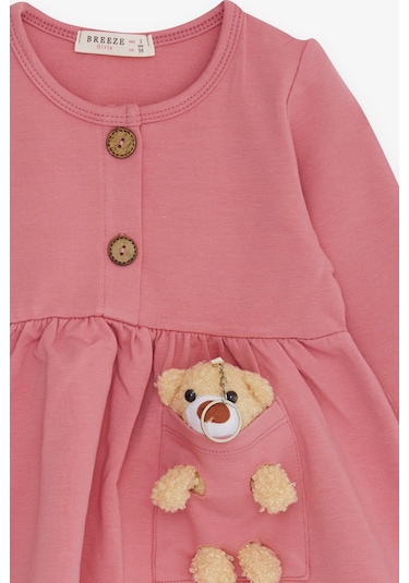 Breeze Kız Çocuk Uzun Kollu Elbise Ayıcık Aksesuarlı 2-6 Yaş, Gülkurusu