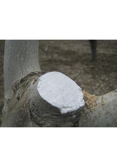 Gmt Pro-jell Aşı Ve Budama Macunu 100 Gr