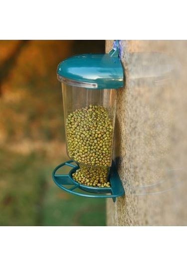 Pazly Şeffaf Açık Hava Kuş Yemliği, Pencere Asılı Sinek Kuşu Bahçe Yemliği