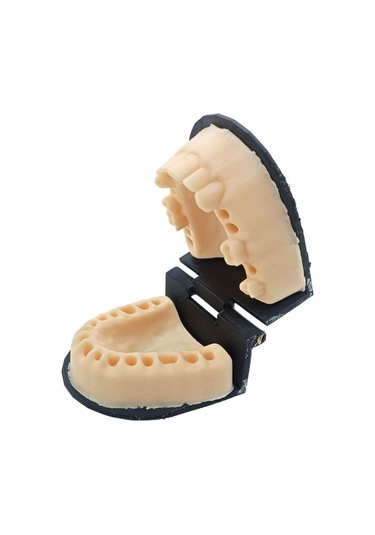 Barışhan Medikal Silikon Çene Diş Dikiş Modeli Ortodontik Alt Üst Çene Periodontal Sütür Eğitim Modeli-4