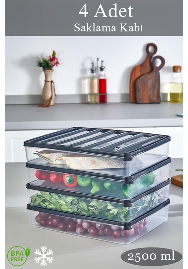 4 Adet 2500 Ml Dondurulmuş Öğünlük Et Ve Sebze Saklama Kabı