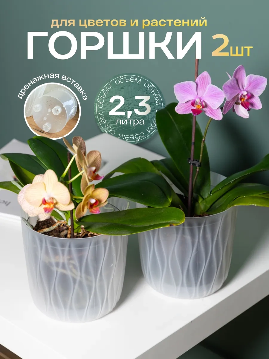 Elly Home Orkide Saksısı Çiçek Dalağı 303412693