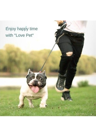 Soulader Otomatik Geri Çekmeli Kökenli Köpek Tasma Kayışı, Uzayabilir İpli Tasma, Küçük Orta Büyük Irklar İçin